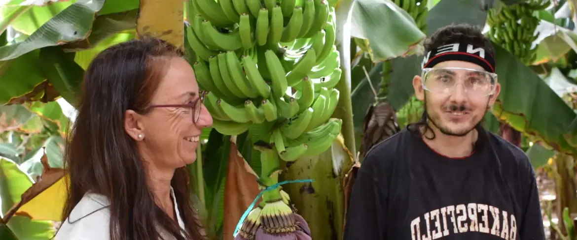 La inserción de Andrew en Bonnysa Agroalimentaria: autonomía e inclusión para una persona con problemas de salud mental
