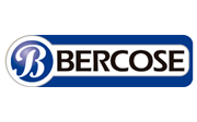 Bercose Servicios Auxiliares
