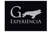 Gaudí Experiència