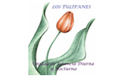 Los Tulipanes